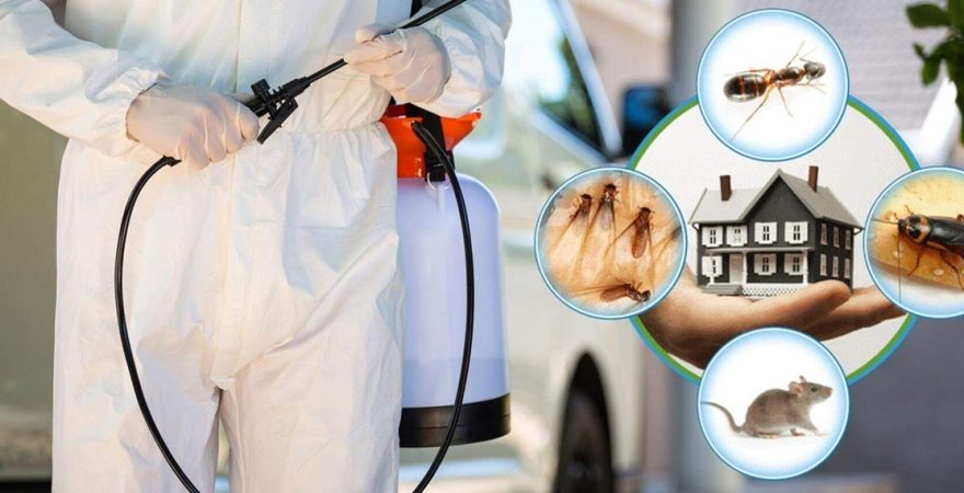 Sulakyurt Böcek İlaçlama