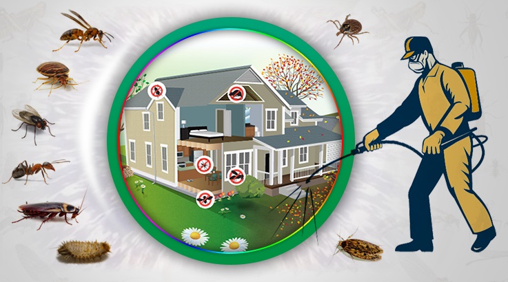 Sulakyurt Böcek İlaçlama