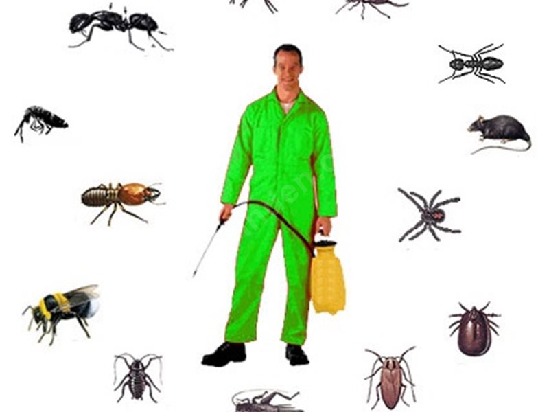 Sulakyurt Böcek İlaçlama